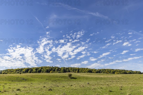 Pristine landscape in the Swabian Alb biosphere reserve with blue skies and small clouds. The