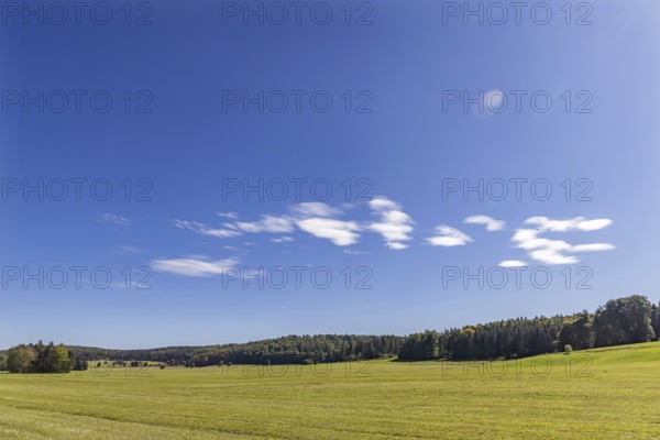 Pristine landscape in the Swabian Alb biosphere reserve with blue skies and small clouds. The