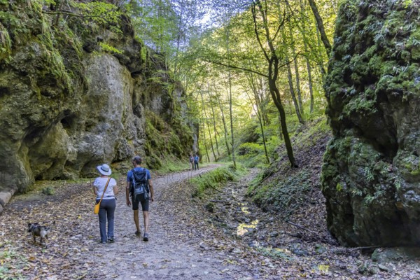 Trailfinger Gorge near Seeburg in the Swabian Alb. Man and woman with dog on a hike through the