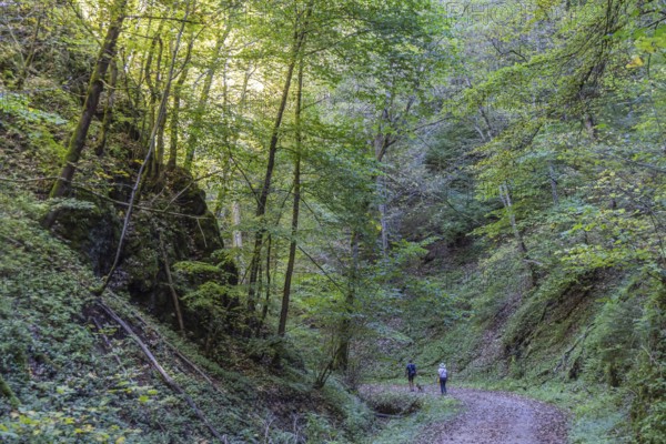 Trailfinger Gorge near Seeburg in the Swabian Alb. Man and woman with dog on a hike through the