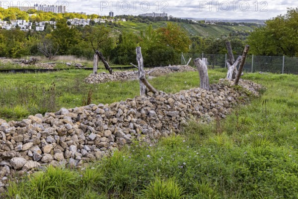 Areas with artificial stone piles for lizards. The city of Stuttgart has cleared allotments in the