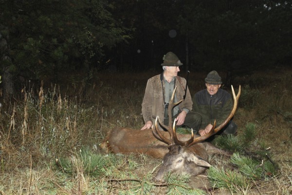 Red deer (Cervus elaphus) shot in the rain during the rut, hunter left, with hunting guide, Western