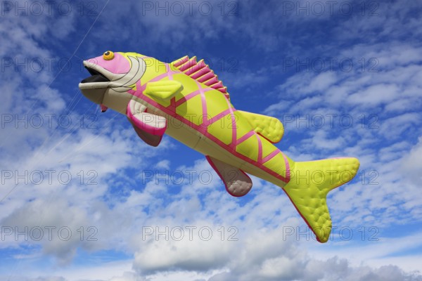 Kite festival, international kite festival, kite in the shape of a fish, Dieppe, Normandy, France