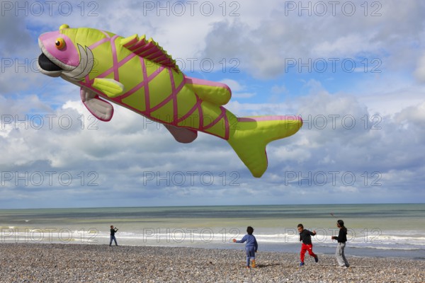 Kite festival on the beach, international kite festival, kite in the shape of a fish, Dieppe,