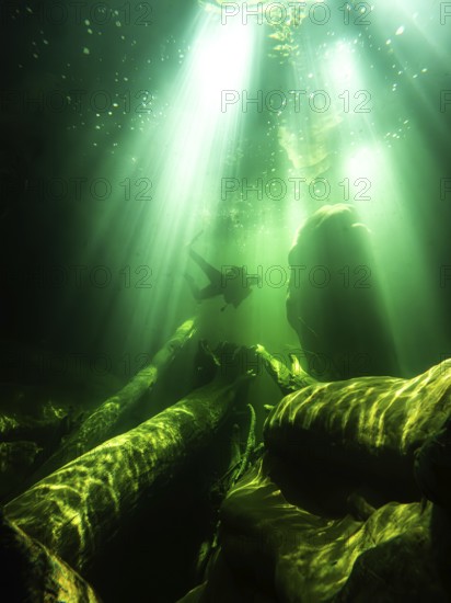 River diving, scuba, diving, magic, underwater, fairy world, sunbeams, light, green, diffuse,