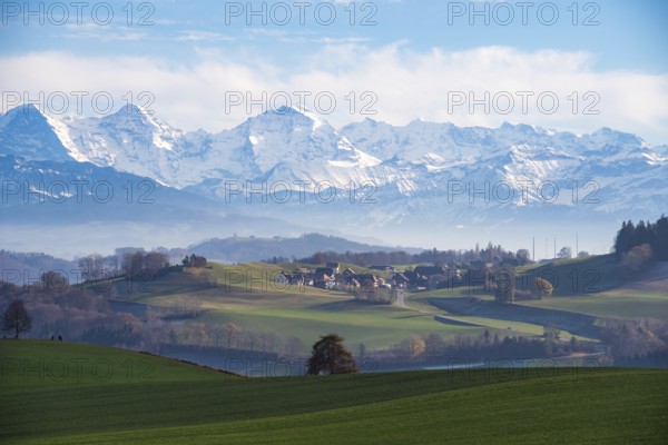 Triumvirate, Alps, Bernese Oberland, layers, Gurtendorf, view, tree, focus, solitair, centre,