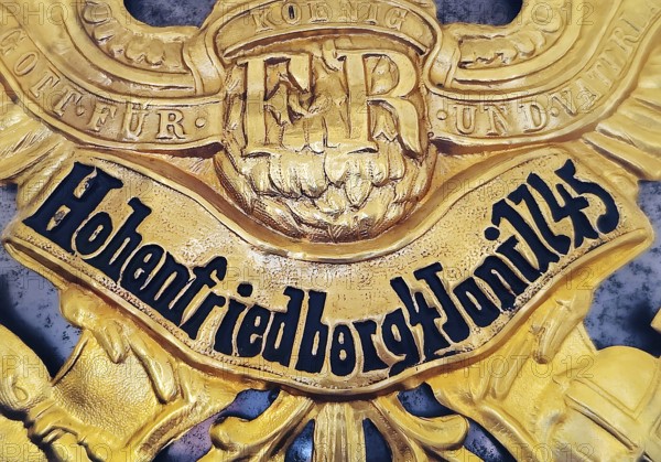 Exhibit Helmet, detail of pickelhaube for the Queen's (Pomeranian) Cuirassier Regiment No. 2,