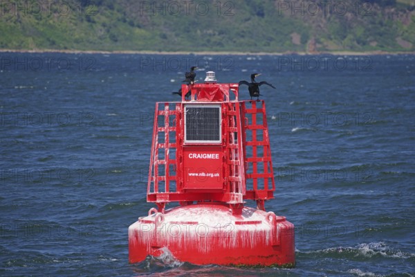 A red buoy with a cormorant rests on the sea, a silent hint in the vast waterscape, Moray Firth,