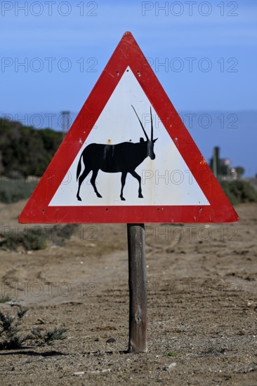 Beware of oryx antelopes (Oryx gazella) sign on a road near Oranjemund, Diamond Sperrgebiet, Karas