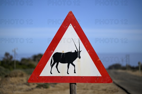 Beware of oryx antelopes (Oryx gazella) sign on a road near Oranjemund, Diamond Sperrgebiet, Karas