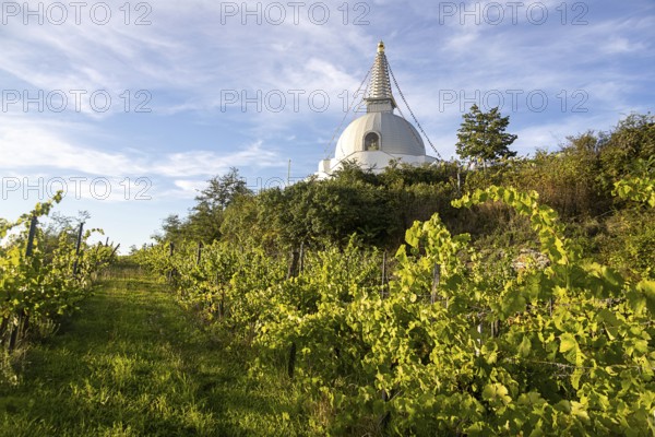 White stupa in the middle of vineyards, under a wide blue sky, peaceful atmosphere, Stupa am Wagram