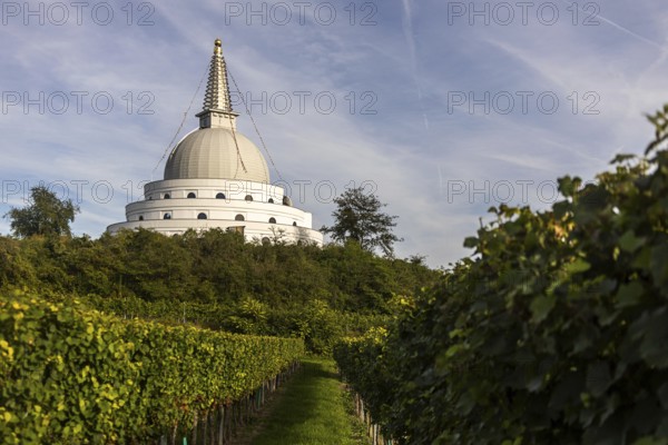 White pagoda behind vineyards in front of a cloudy sky, Stupa am Wagram Grafenwörth Weinviertel
