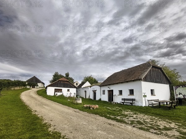 A group of old, traditional houses along a cobbled path under an expansive sky, Kellergasse Hart