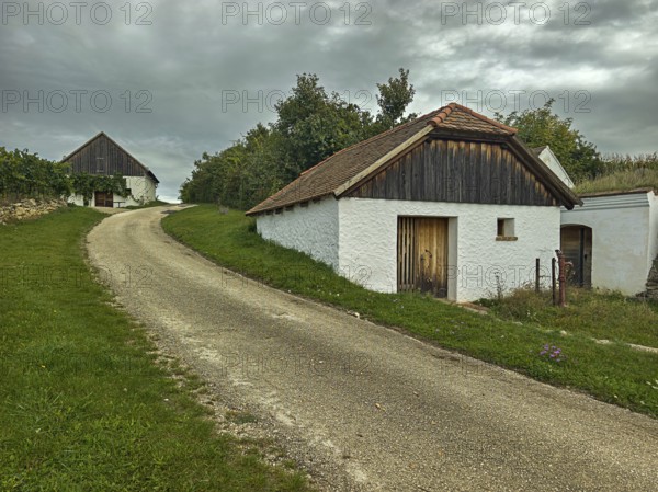 Two old houses in rural style on a curved path under a cloudy sky in green surroundings,