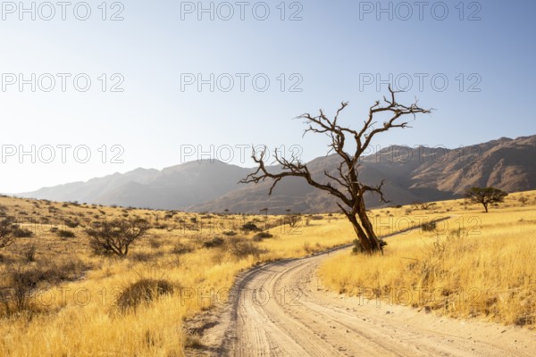 Solitaire is a remote settlement in Namibia, located on the edge of the Namib Desert, surrounded by