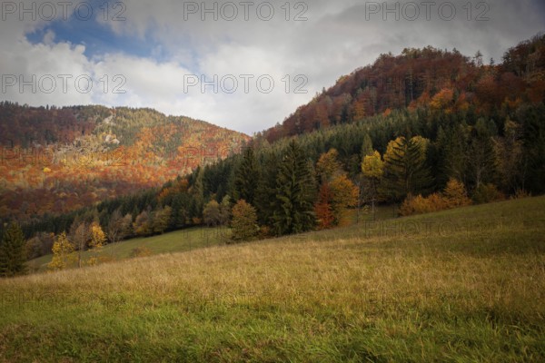 Autumnal mountain landscape with colourful forests and wide meadows under a cloudy sky, Ybbstal