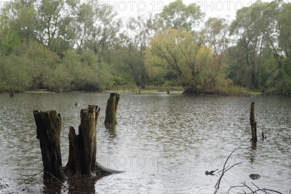 Heavy rain fills the Heidsee lake with water again after the summer in early autumn, pond, natural