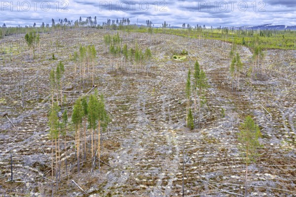 Aerial view over Swedish clearcut area, clearcutting, clearfelling is a forestry, logging practice