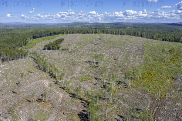 Aerial view over Swedish clearcut area, clearcutting, clearfelling is a forestry, logging practice