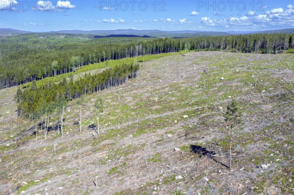 Aerial view over Swedish clearcut area, clearcutting, clearfelling is a forestry, logging practice