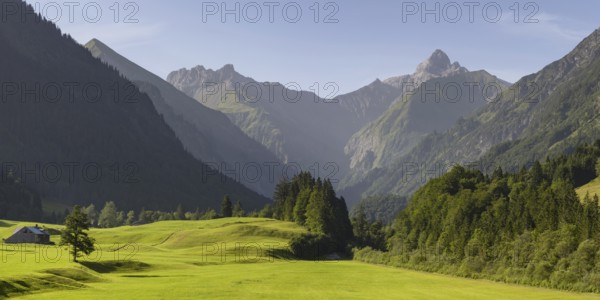 Cleared summer meadow in the Trettachtal, near Oberstdorf, behind it the Kratzer, 2428m and the