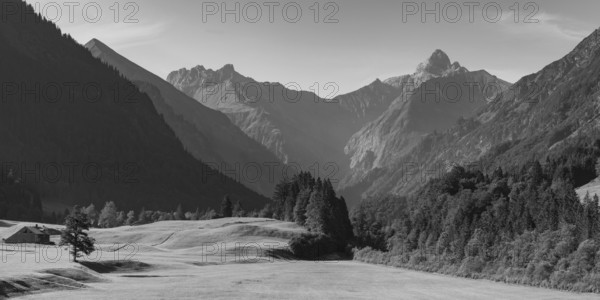 Cleared summer meadow in the Trettachtal, near Oberstdorf, behind it the Kratzer, 2428m and the