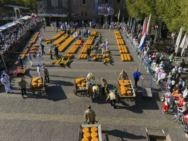 A large traditional Dutch cheese market with arrangement of cheese and people standing around,