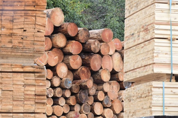 Enegie-Mann timber store in the Westerwald. The wood is processed into wood pellets, some of it