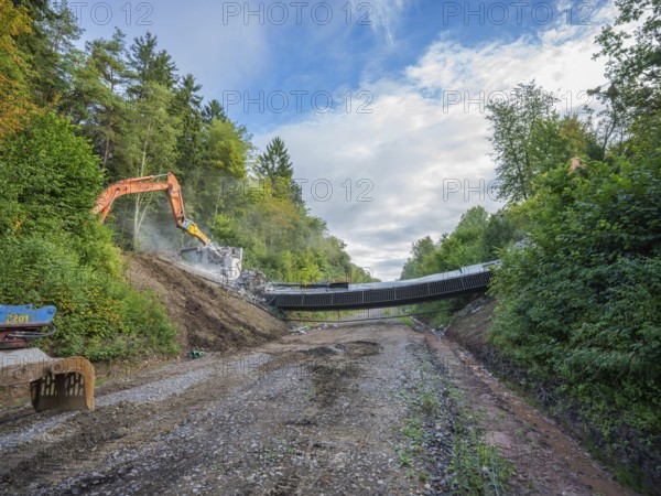 Two excavators tearing down a bridge on a gravel road, flanked by forest and a cloudy sky, bridge