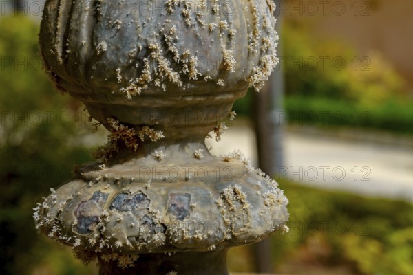Detail of a weathered stone pillar covered in lichen, showcasing the effects of time and nature in
