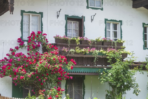 Balcony with flowers and flower boxes on an old house, Reit im Winkl, Chiemgau, Upper Bavaria,