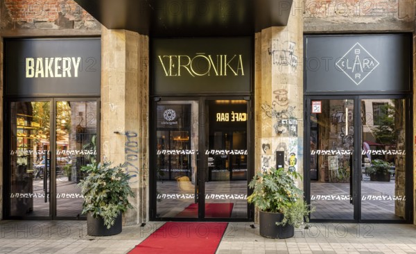 Architecture, catering and commercial real estate, Am Tacheles, Oranienburger Straße, Berlin,