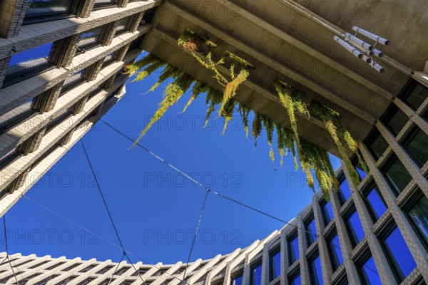 Architecture, catering and commercial real estate, Am Tacheles, Oranienburger Straße, Berlin,