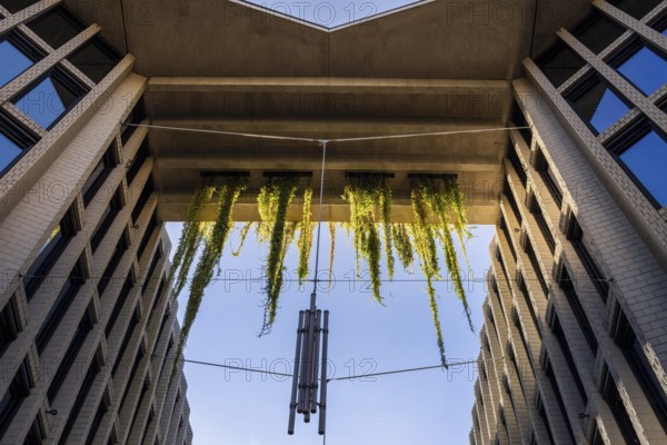 Architecture, catering and commercial real estate, Am Tacheles, Oranienburger Straße, Berlin,