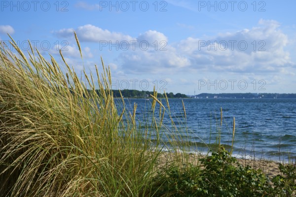 Beach dunes overlooking the sea under a partly cloudy sky, Heikendorf, Plön district, Kiel Fjord,