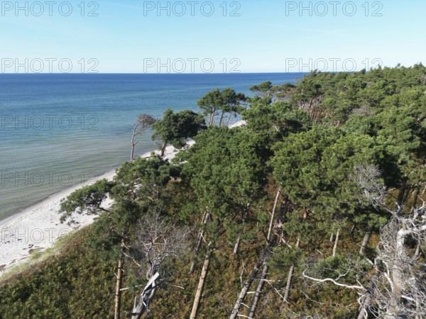 Drone image of the west beach on the Fischland Darß peninsula, Mecklenburg-Western Pomerania,