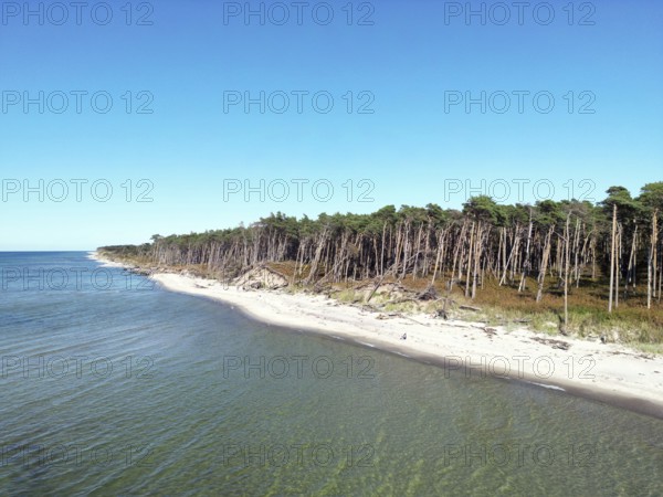 Drone image of the west beach on the Fischland Darß peninsula, Mecklenburg-Western Pomerania,