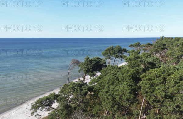 Drone image of the west beach on the Fischland Darß peninsula, Mecklenburg-Western Pomerania,