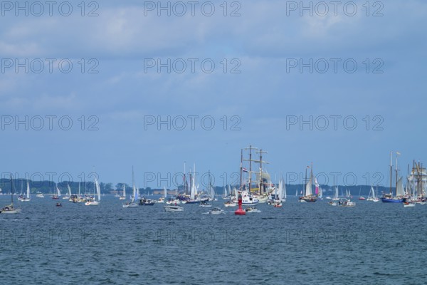 Numerous sailing boats sailing on the blue sea with a wide view of the horizon, Windjammer Parade