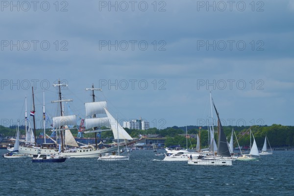 Boats and large sailors on the sea in front of a city under a blue sky, Windjammer Parade Kiel