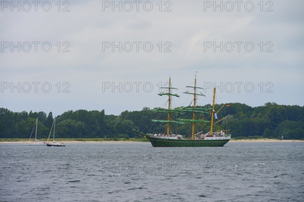 Large sailing ship with green sails Sailing Alexander von Humbold 2 on the sea in front of a wooded