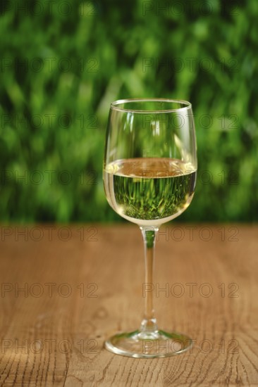 A clear glass filled with white wine sits on a smooth wooden table. The soft green background