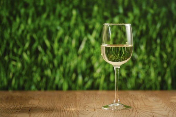 A clear glass filled with white wine on a wooden table. The backdrop features lush green grass,