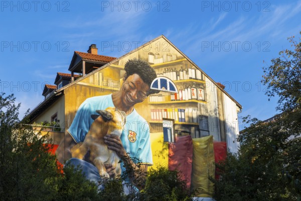 Large graffiti on a house facade, man, sportsman, dog, Märzgasse, Heidelberg, Kurpfalz,