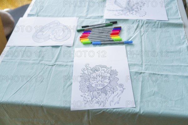 Cat mandala drawing with coloured markers on a table in an office-like environment, Youth Research