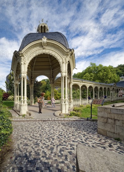 Park Colonnade, spa, healing spring, health, mineral, mineral water, illness, Karlovy Vary, Karlovy