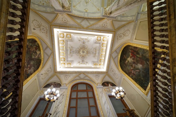 Luxury spa Imperial Spa, staircase and ceiling design, interior, interior, spa, healing spring,
