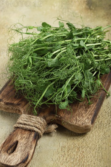 A bunch of vibrant green pea shoots lies on a rustic wooden cutting board, showcasing their