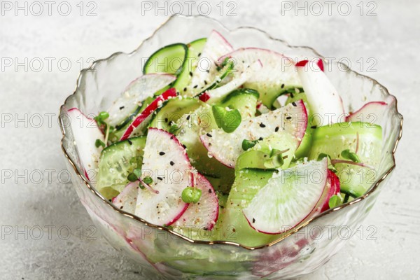 A vibrant vegetable salad is prepared with slices of radishes and cucumbers, garnished with herbs