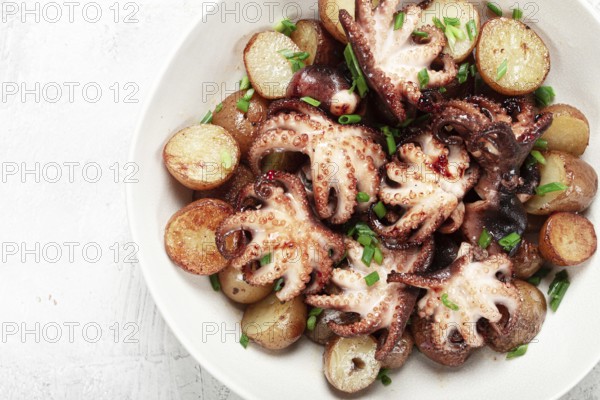 Baby grilled octopus with golden baked potatoes and fresh herbs, Maltese cuisine, homemade, no